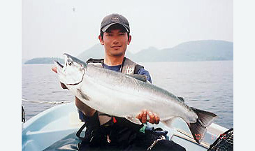 481_Cherry Salmon_Oncorhynchus masou.jpg